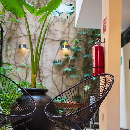 Unaluna By Rotamundos (Adults Only) Otel Tulum Dış mekan fotoğraf